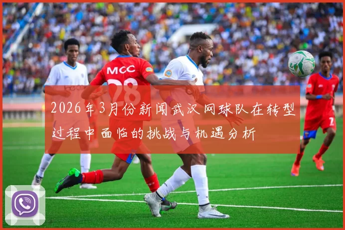 2026年3月份新闻武汉网球队在转型过程中面临的挑战与机遇分析
